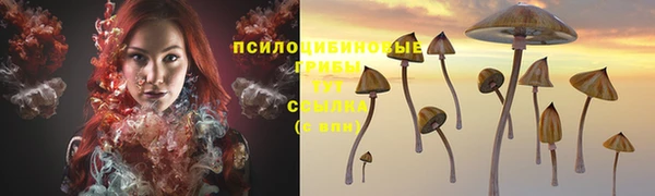 гидропоника Михайлов