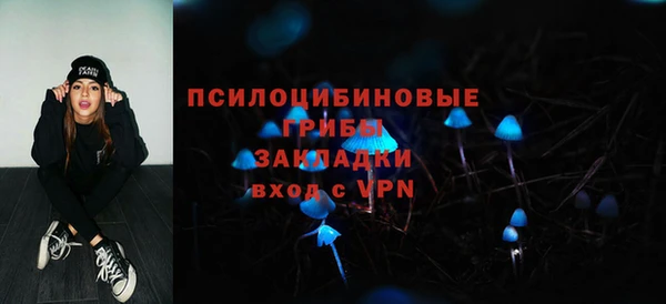 гидропоника Михайлов