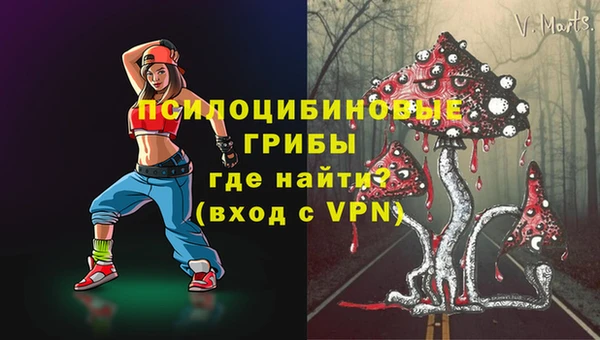 ешки Михайловск