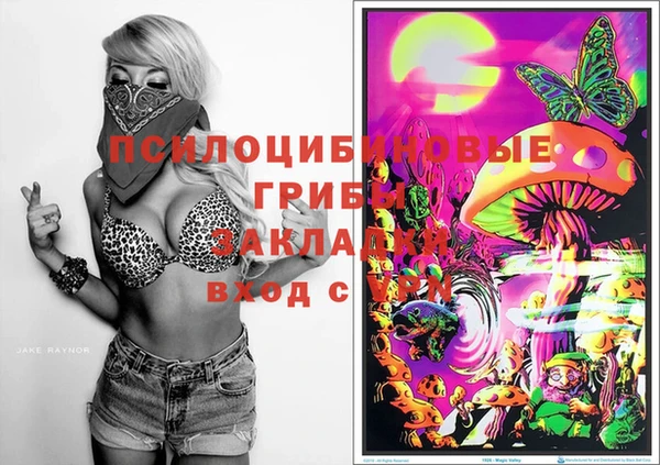 ешки Михайловск