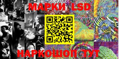 хмурый Кингисепп