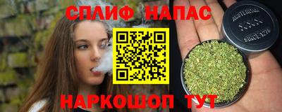 хмурый Кингисепп