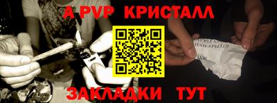 стаф Кинель