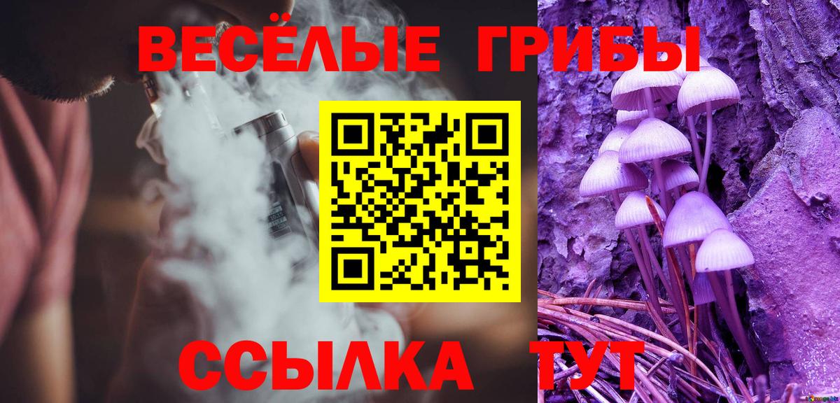 Псилоцибиновые грибы прущие грибы Псков